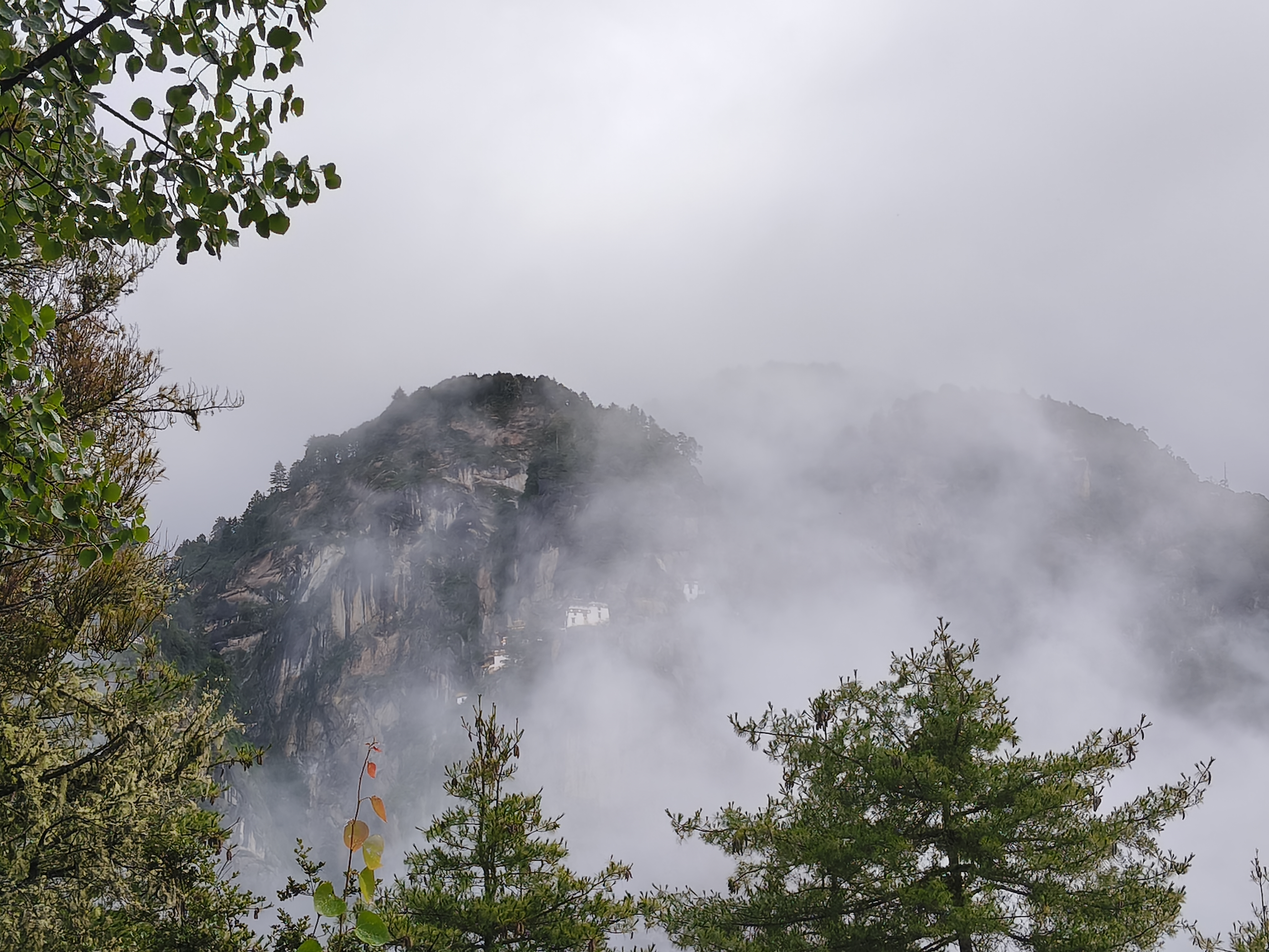 5 Nights / 6 Days - Bhutan Cultural Escape – Ex. Bagdogra