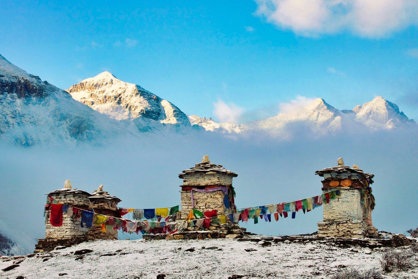 Jomolhari Trek: Journey to Bhutan's Sacred Peak